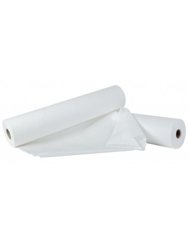 Papel camilla tissue plastificado 870-2 bicapa LadyCell