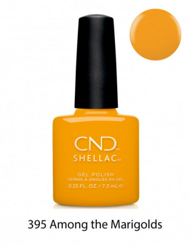 CND Shellac