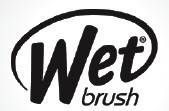 The Wet Brush